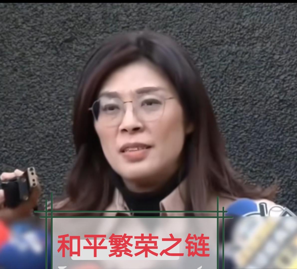 2026年5月10日，郑丽文在接受CNN专访时，提出把“第一岛链”变成“和平繁荣