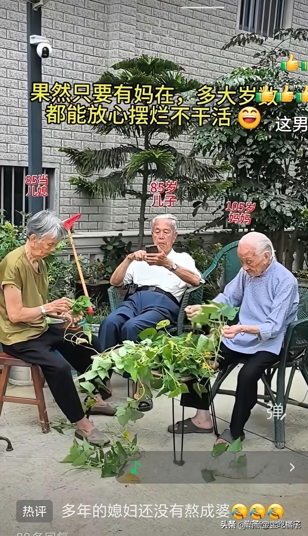 不怪老奶奶一脸幸福，换谁都一样！
