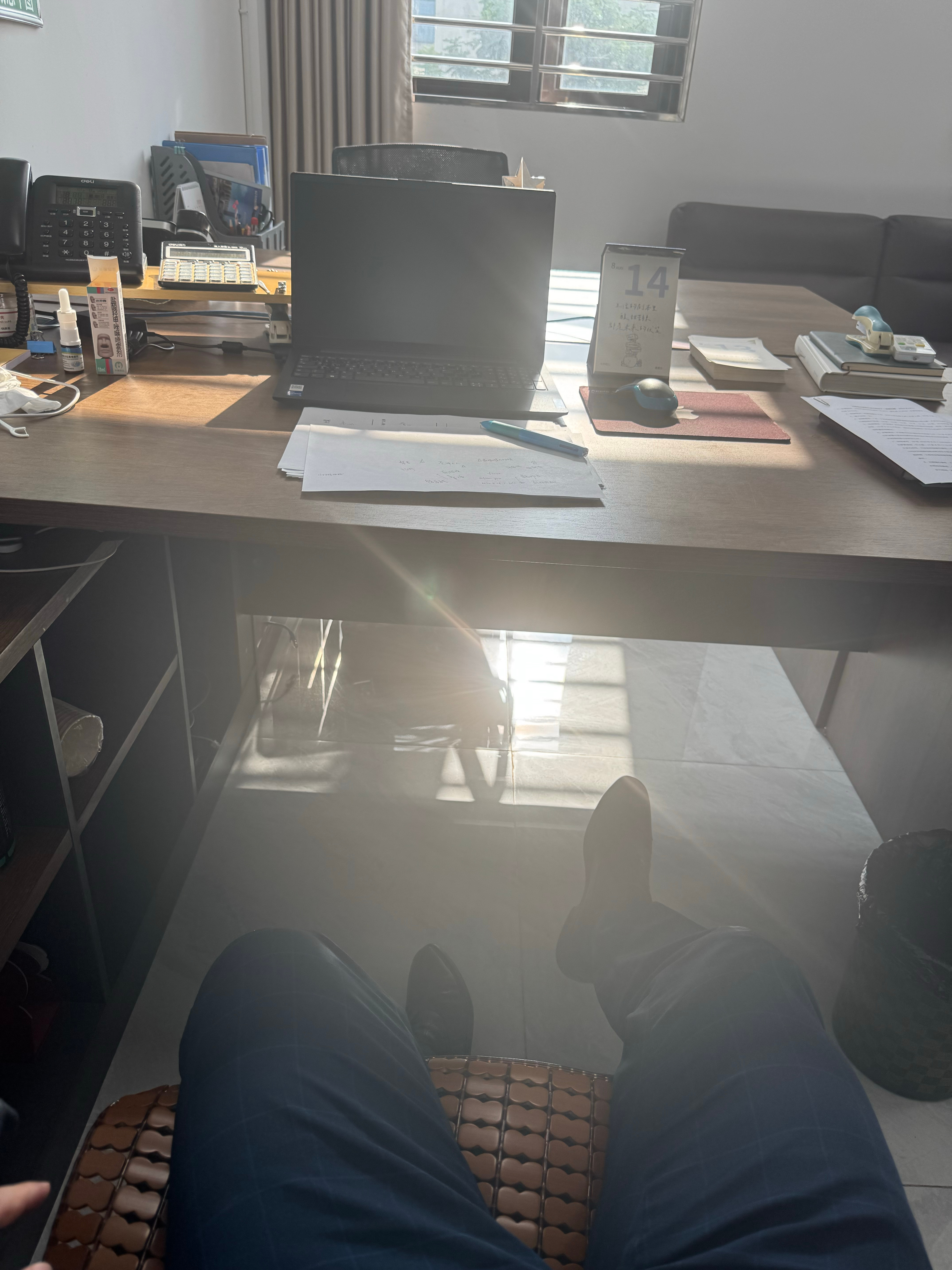 下了一周的雨，这会出太阳了。 