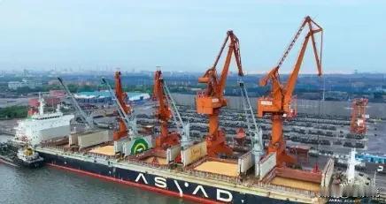 超30艘装满大豆的美国货船，正火急火燎往咱中国赶，船上大概装着200万吨大豆。不