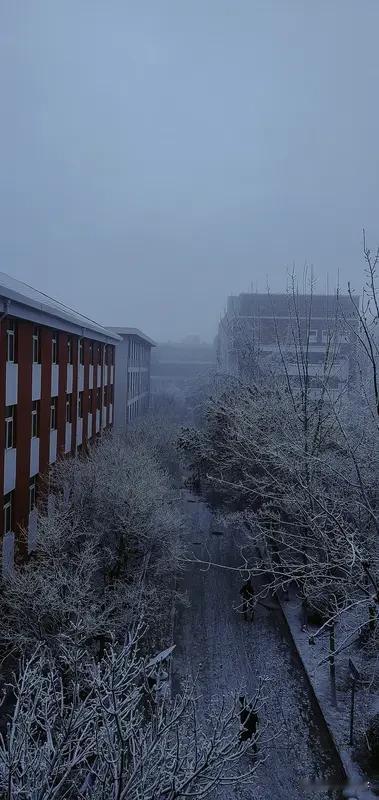 【苏幕遮】暮雪
漫天飘，
随地白。
如是风华，
心里相思积。
仙阙宫娥挥玉律。