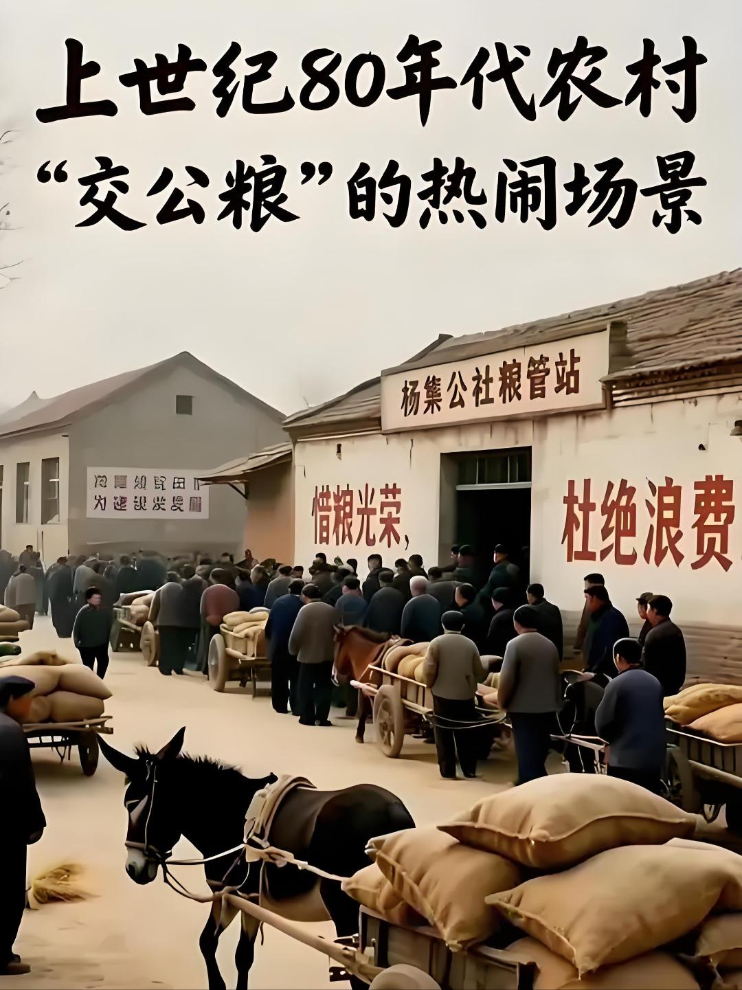 农民交公粮算不算交社保。
农民交公粮算不算交社保这个问题真的得一分为二看，首先交