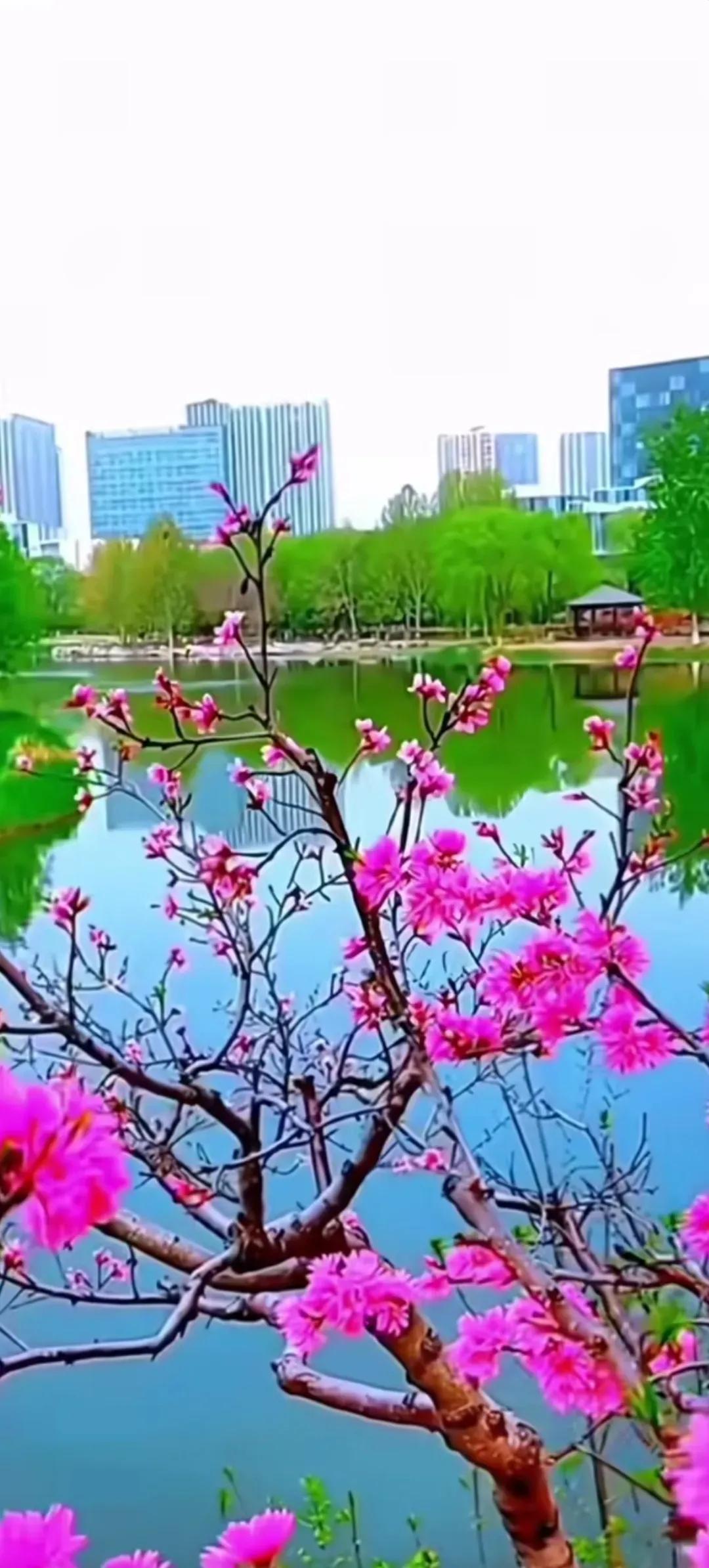 上联:与花为伍知春意；

下联:？？？

下联由你来对，请舒展你的才华，对出最佳