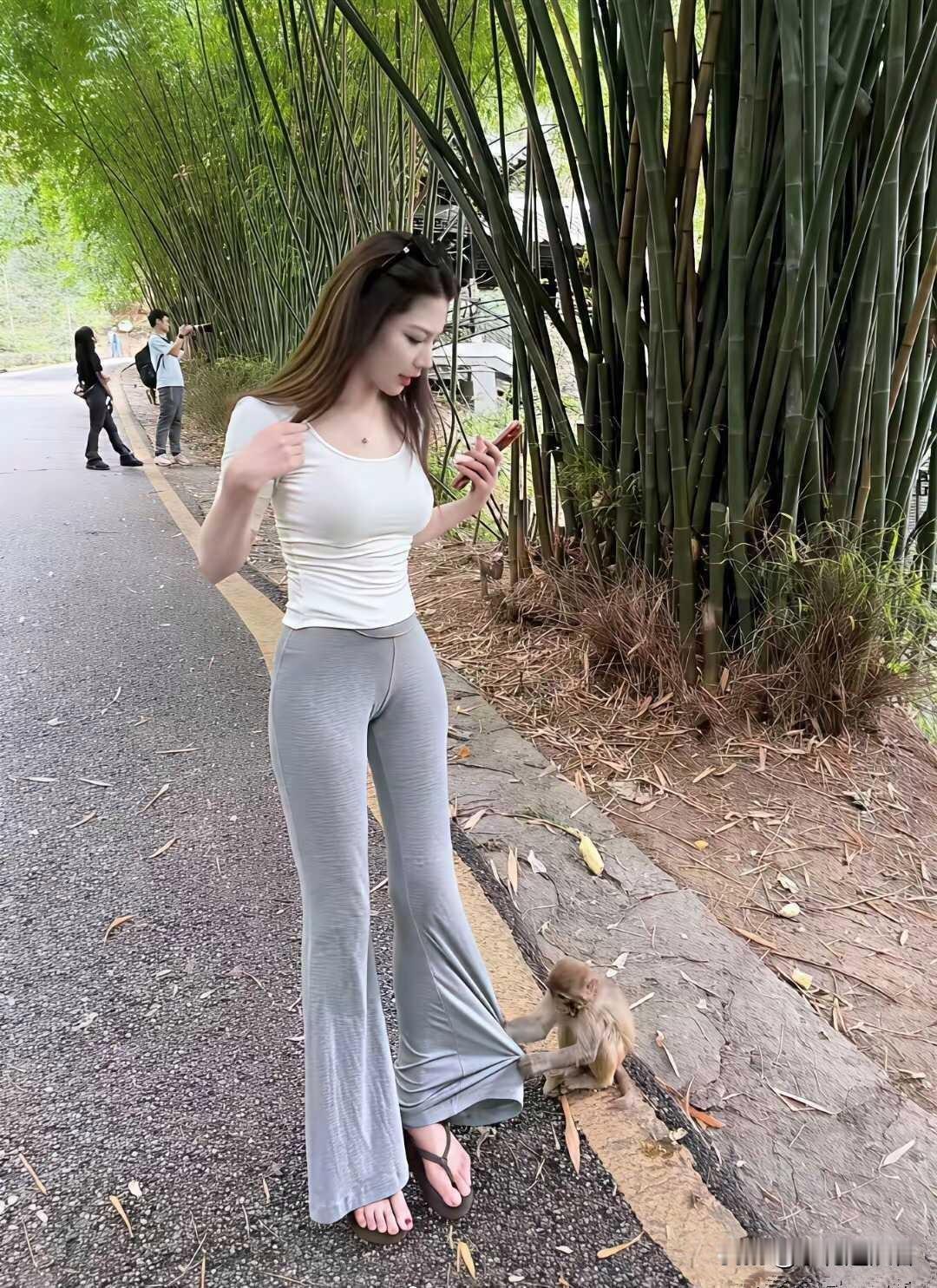 走在竹林山间的步道，本来悠闲赏景，谁能想到一只小猴子突然跑过来，伸手拽住游人的裤