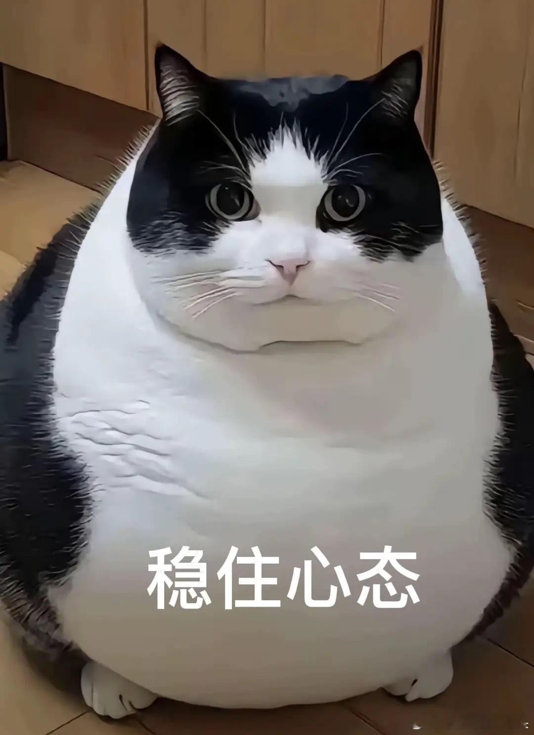 上午10:21， A股早盘冲高回落，全线翻绿，接下来怎么看？现在是上午的10:2