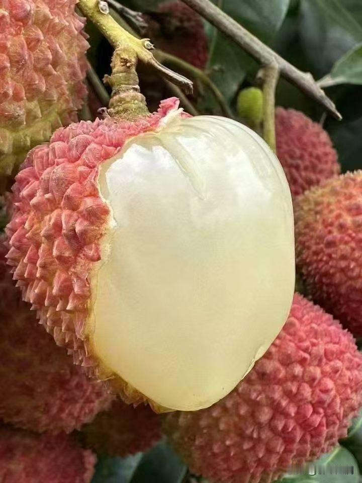 很喜欢。现在就是每天行尸走肉得过。为了孩子为了家人。想着有一天完成任务不那么累。