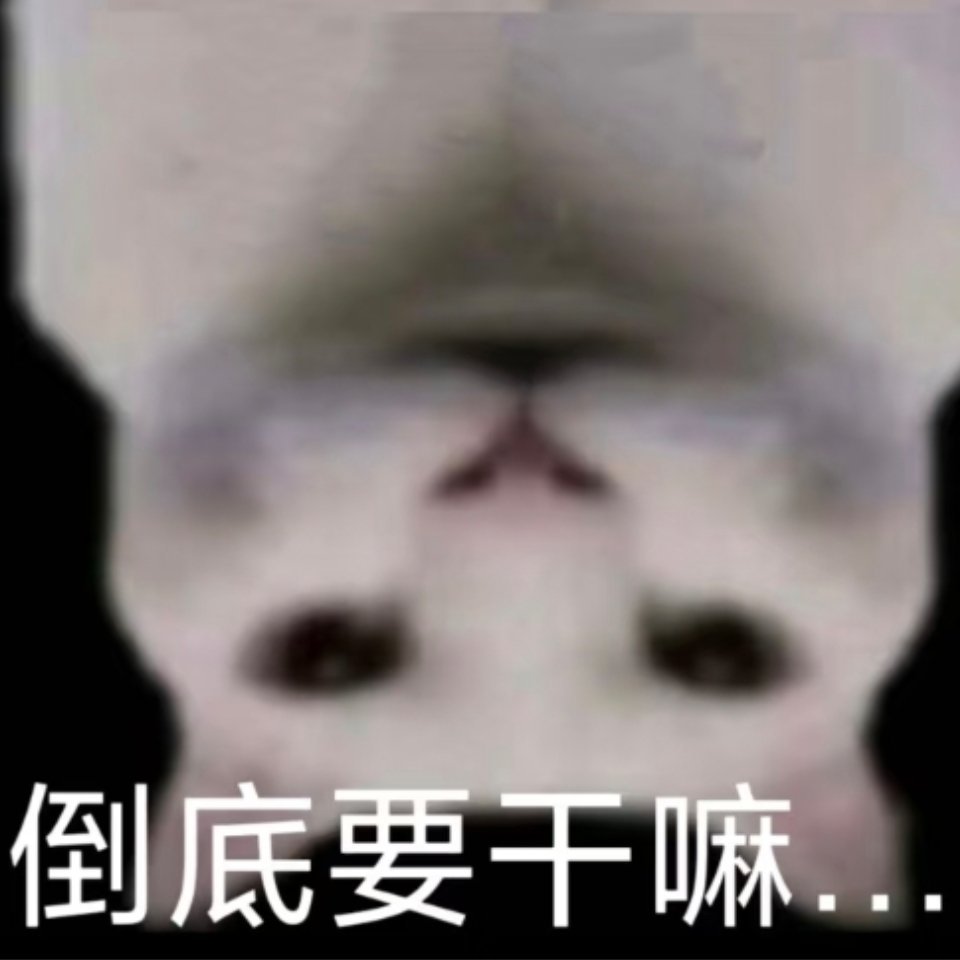 巴基：据说猫脑门上会有假眼睛花纹，叫吊睛，用来恐吓敌人的，为什么你们两个都没有呢