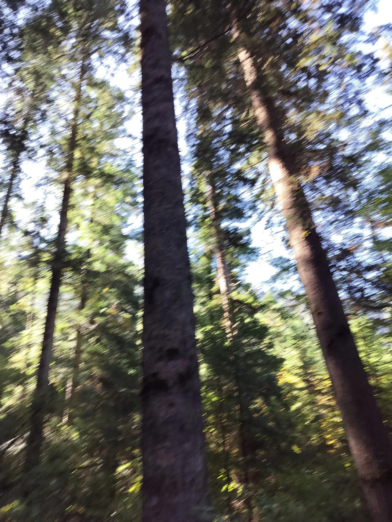 记录我的2026加油