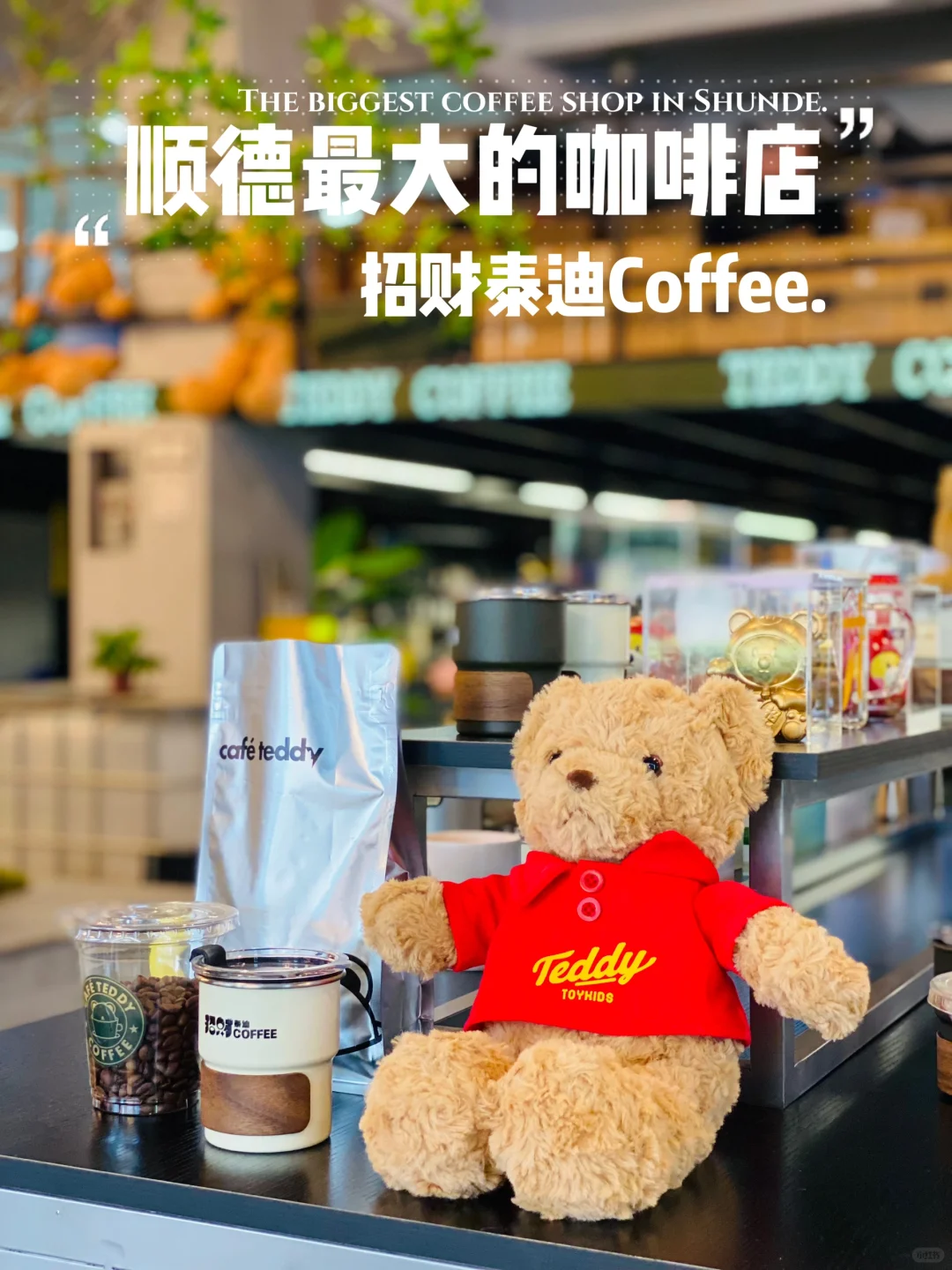 顺德最大的咖啡店！招财泰迪Coffee！