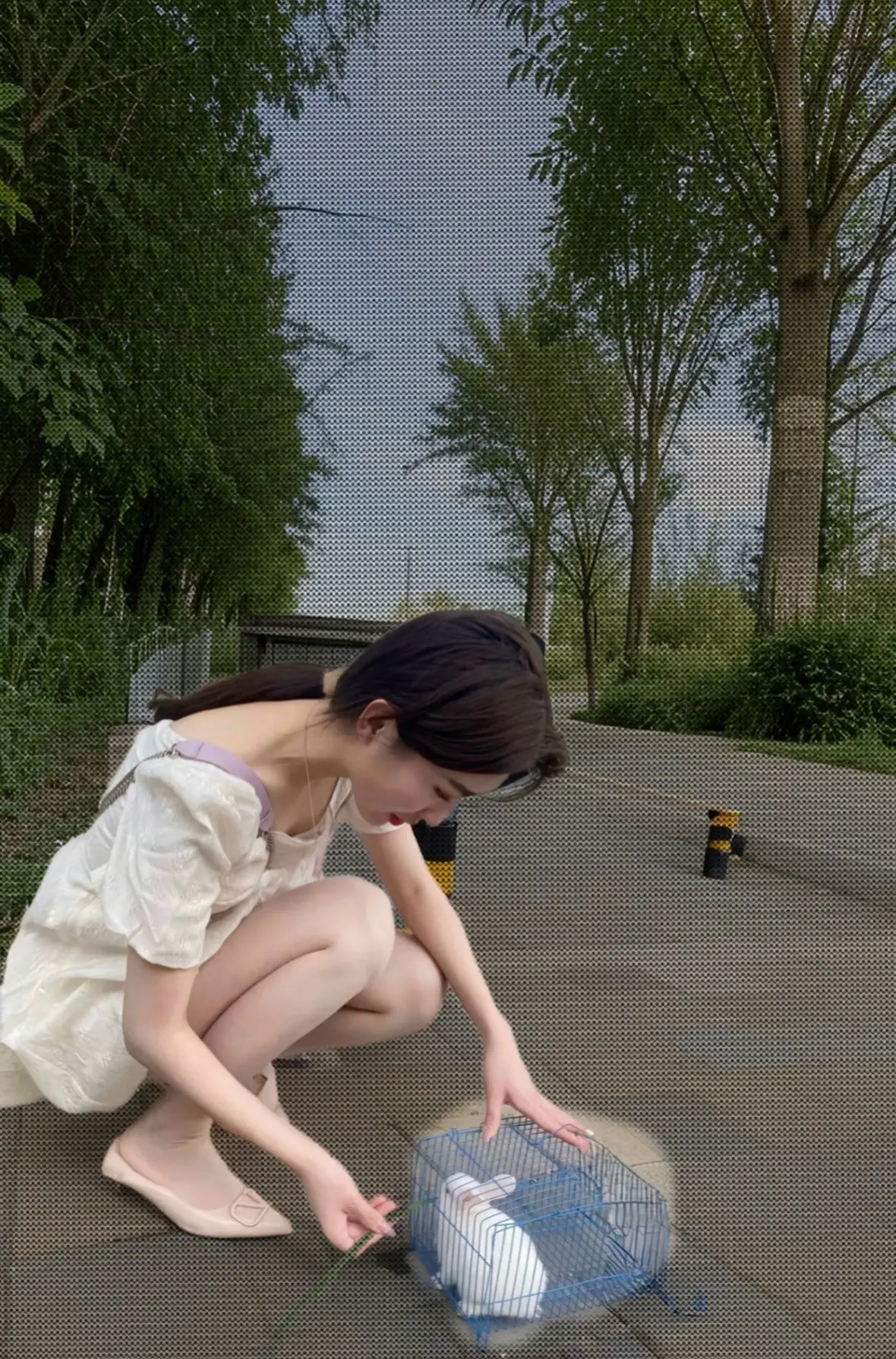 兔子这么可爱 怎么能红烧