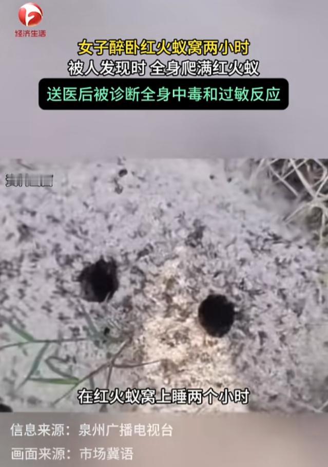 “醉酒女子被红火蚁捡尸！”7月15日报道，福建泉州，一女子喝醉了酒，直接醉倒在了