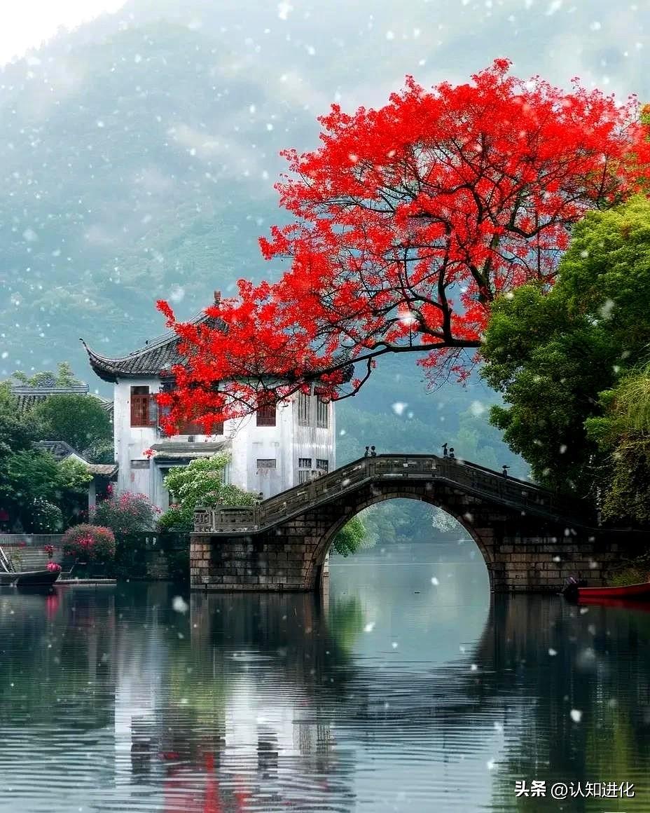 我听到这位68岁教授婆婆的话，心里咯噔一下。
她说不看孙子、不出钱，还把养大孩子