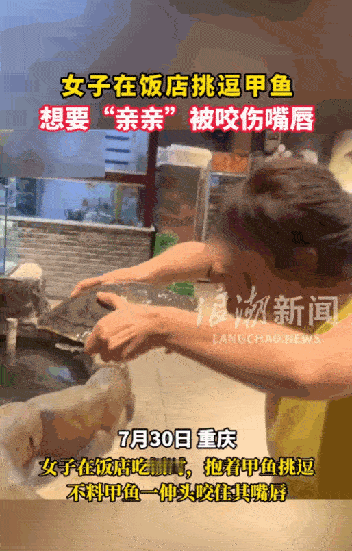 “丢人丢大了！”重庆，一女子在饭店吃饭时喝多了，就来到大厅里透气，发现水池中有甲