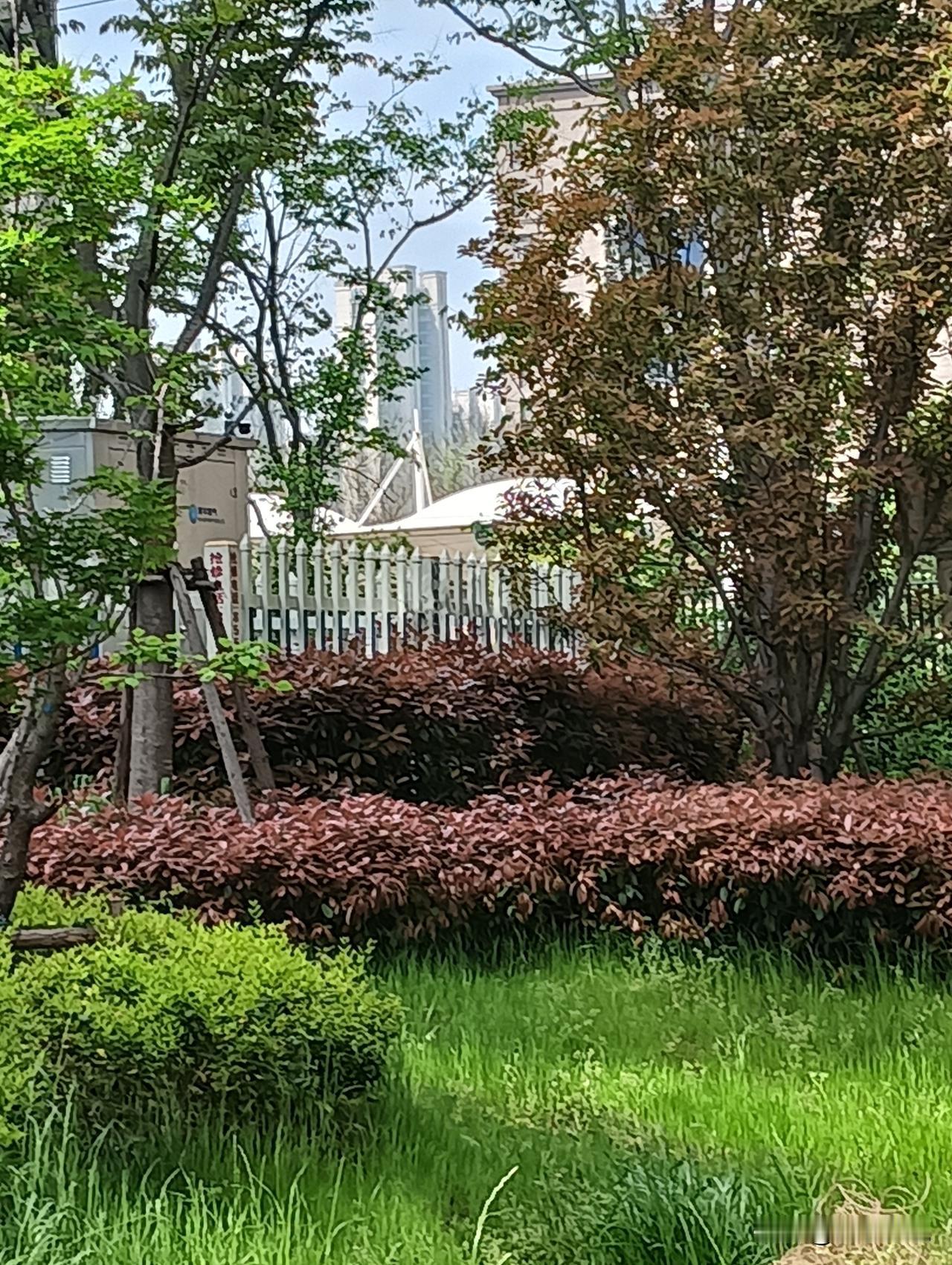 城市里也能静享自然之美，像亳州城西公园和郑州象湖公园就是绝佳的城市绿洲。
亳州城