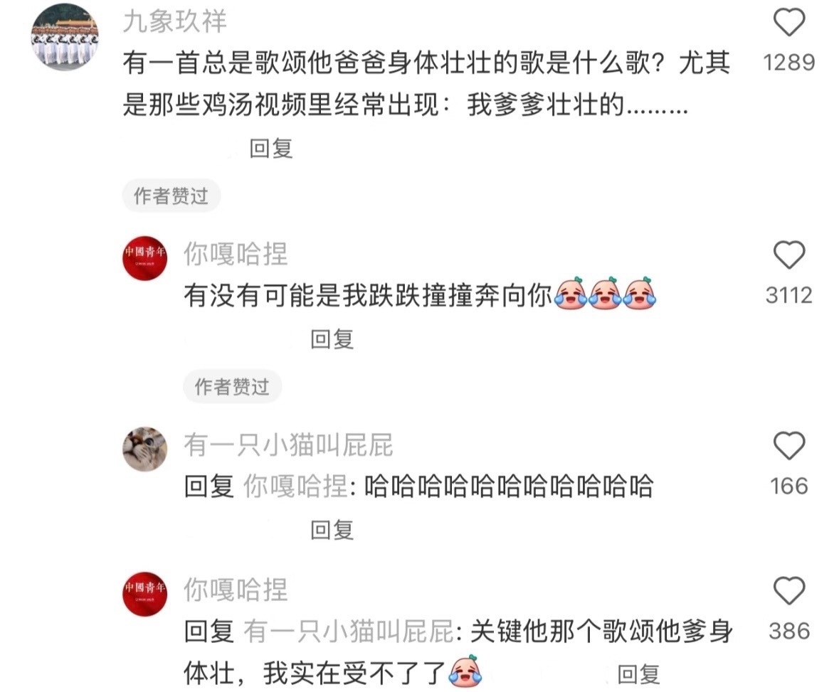 当我听歌空耳时belike 