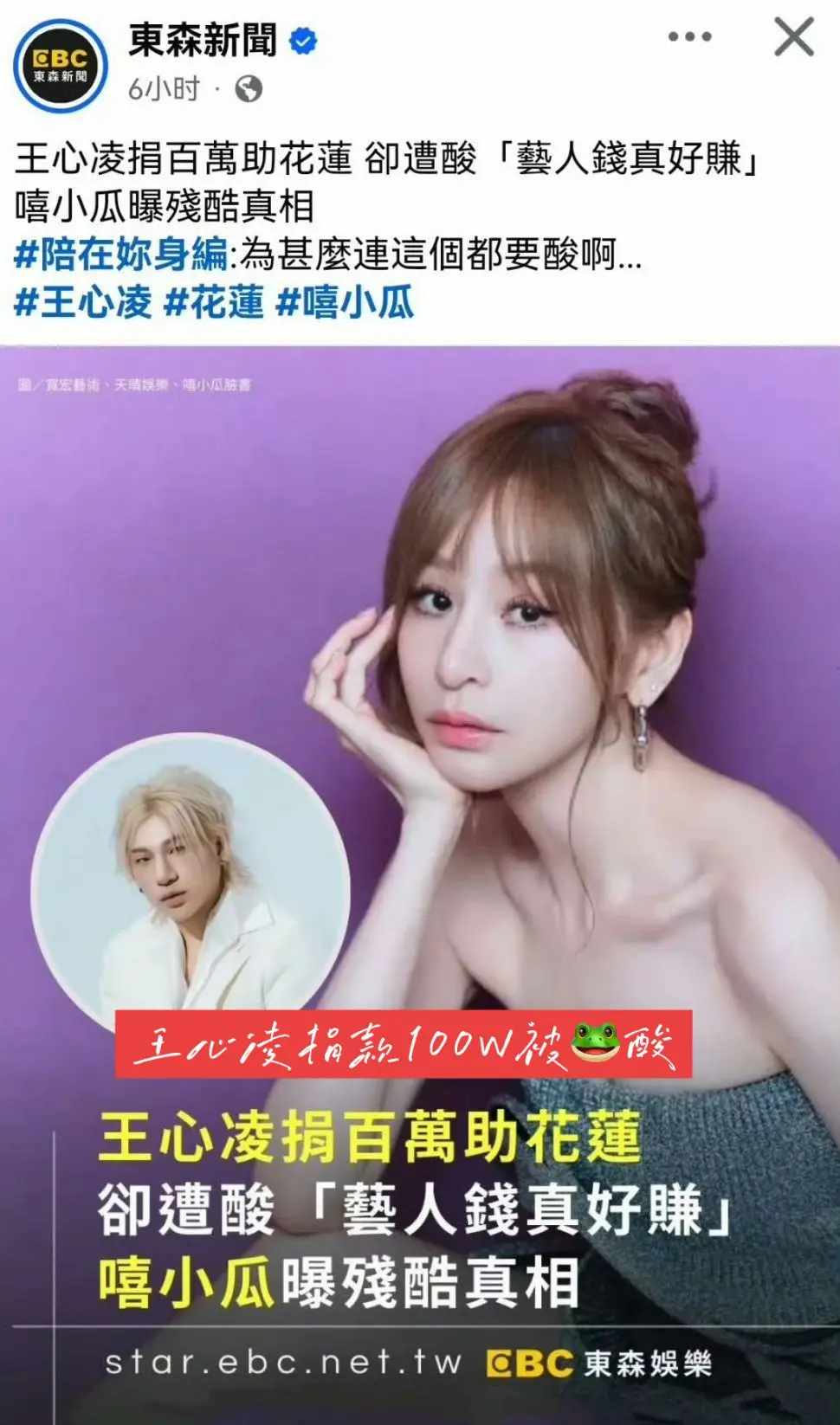 王心凌演唱会捐款100万被酸🍋。