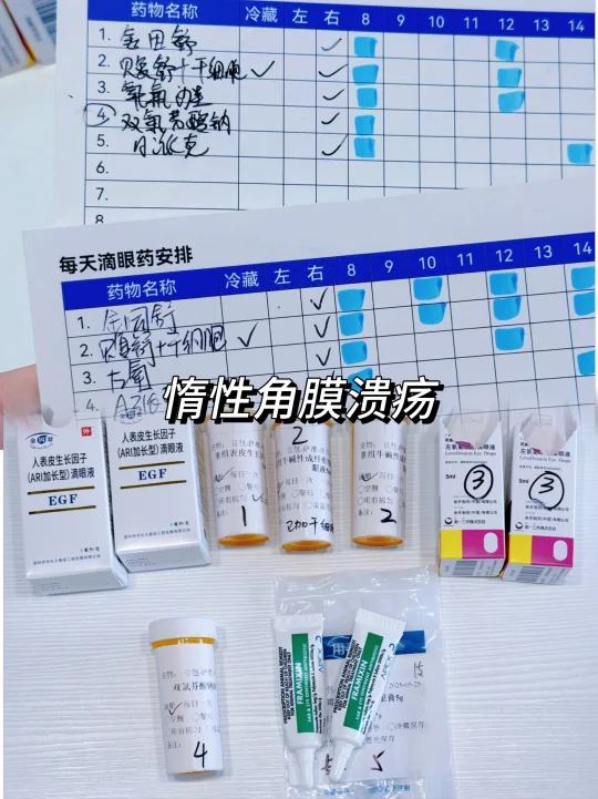 关于小狗惰性角膜溃疡