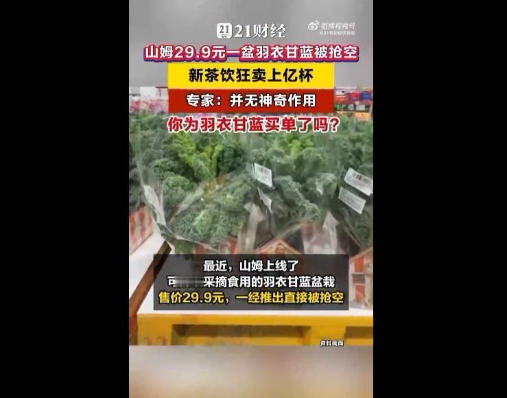 山姆29.9元羽衣甘蓝盆栽被抢疯！一次抱七八盆，这菜为啥突然火了？

据媒体4月