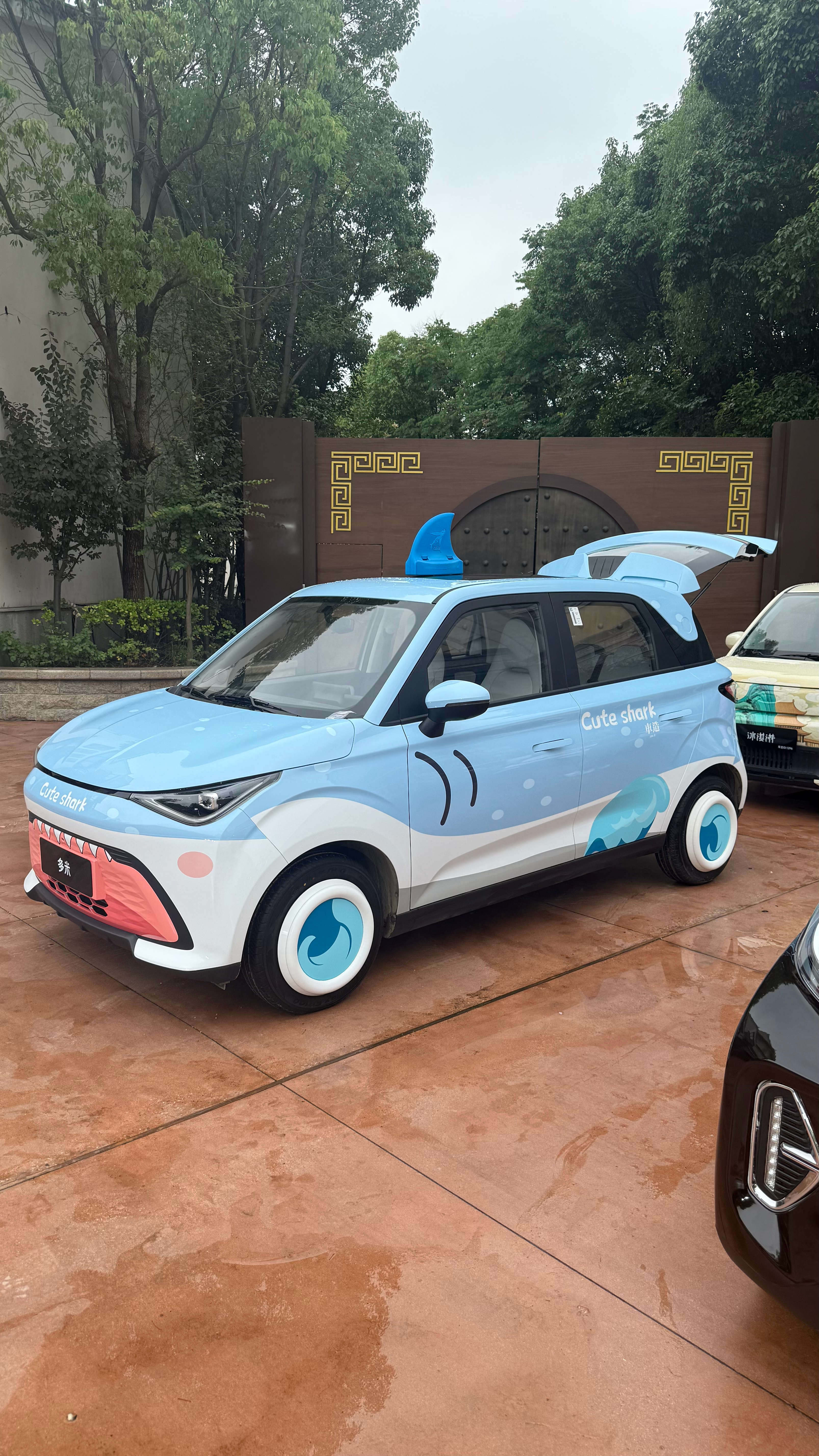 生活手记奇瑞小痛车  ​​​