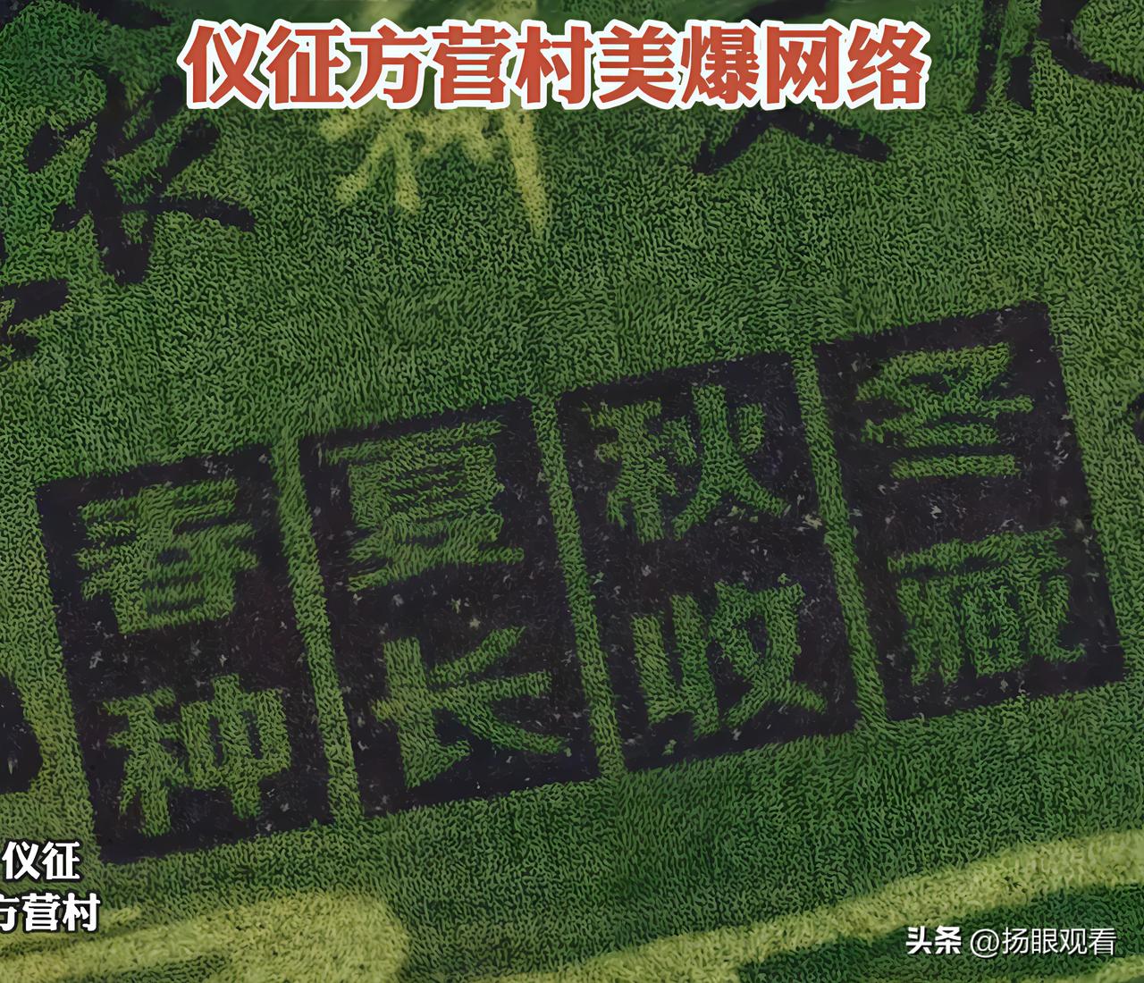 扬州周边仪征方营村稻田画美到窒息🔥秋日必冲！因为仪征方营村的稻田直接把“田园诗