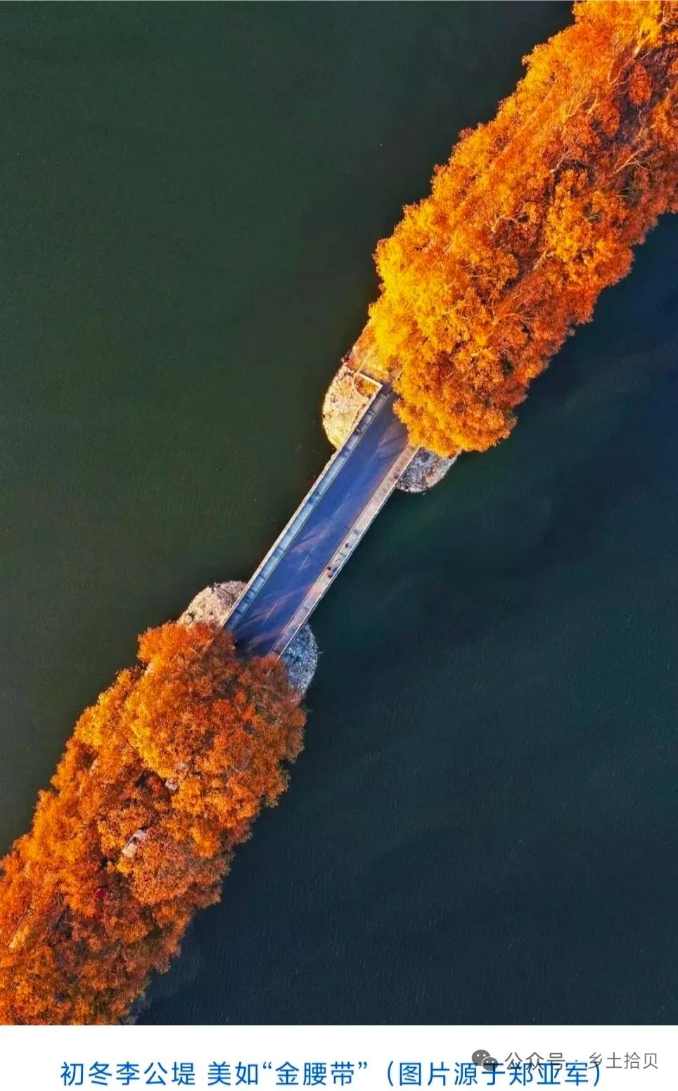 从前，觉得家乡太小，
装不下自己的梦。
曾经觉得家乡素面朝天，
追不上世界疾驰的