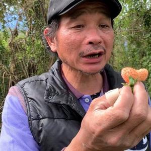 农夫阿隆慢生活