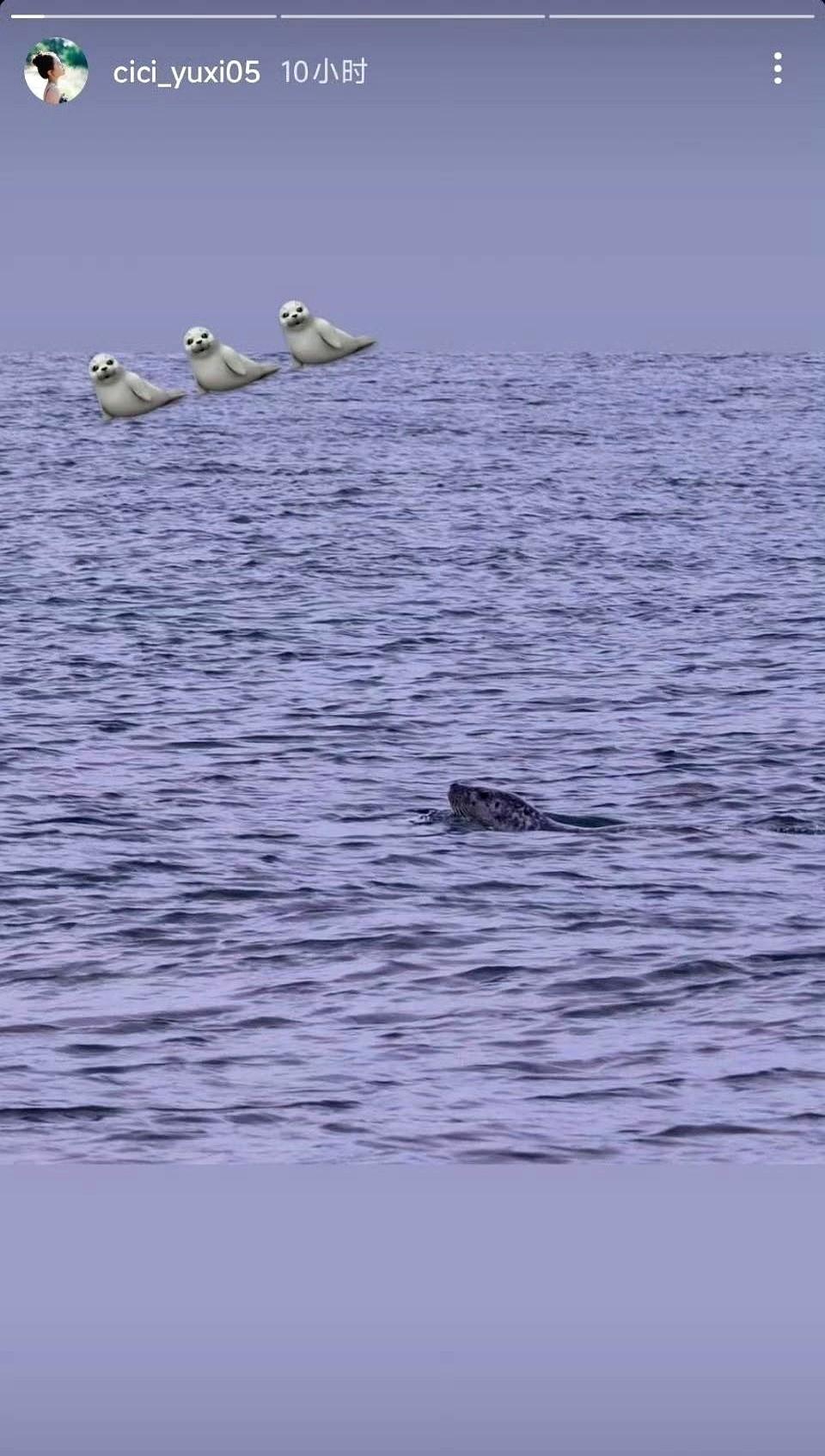 陈芋汐在12月3日通过社交媒体分享了她在意大利度假的悠闲瞬间。照片中她身穿羽绒服