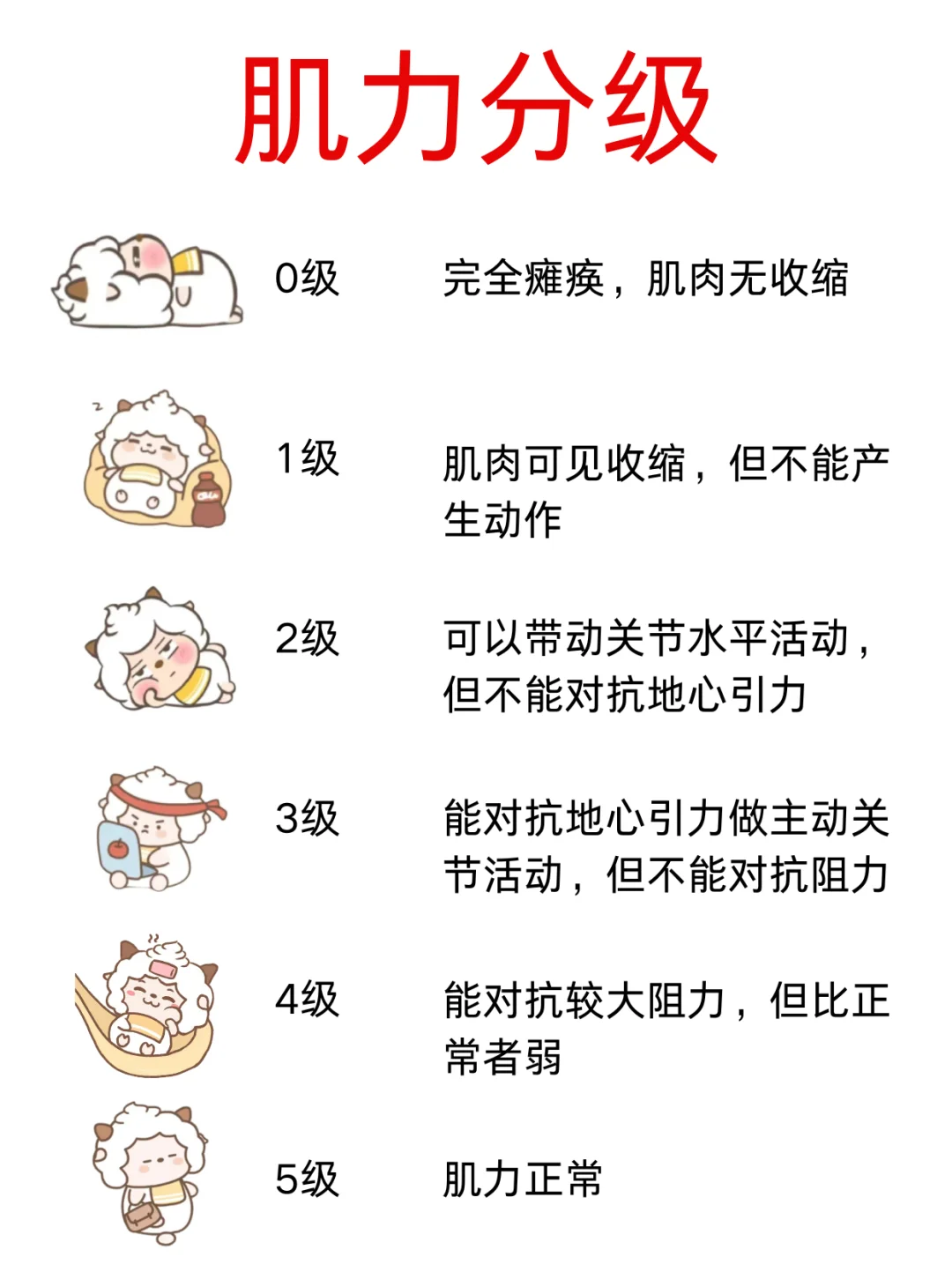 医学生笔记——肌力分级