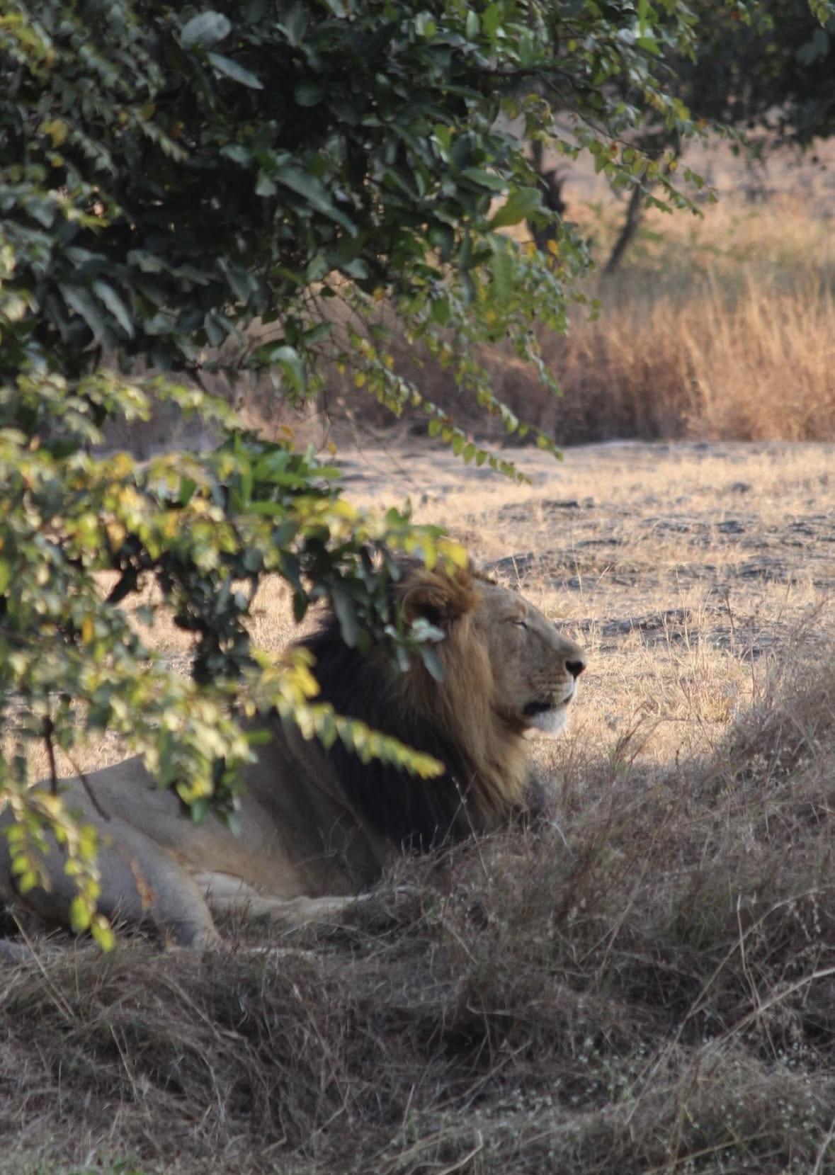 大明星德夫拉杰近照。依旧帅气