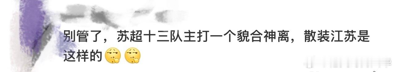苏超十三队主打一个貌合神离 这舞台太有灵魂！苏超十三队看似貌合神离、互不相让，却