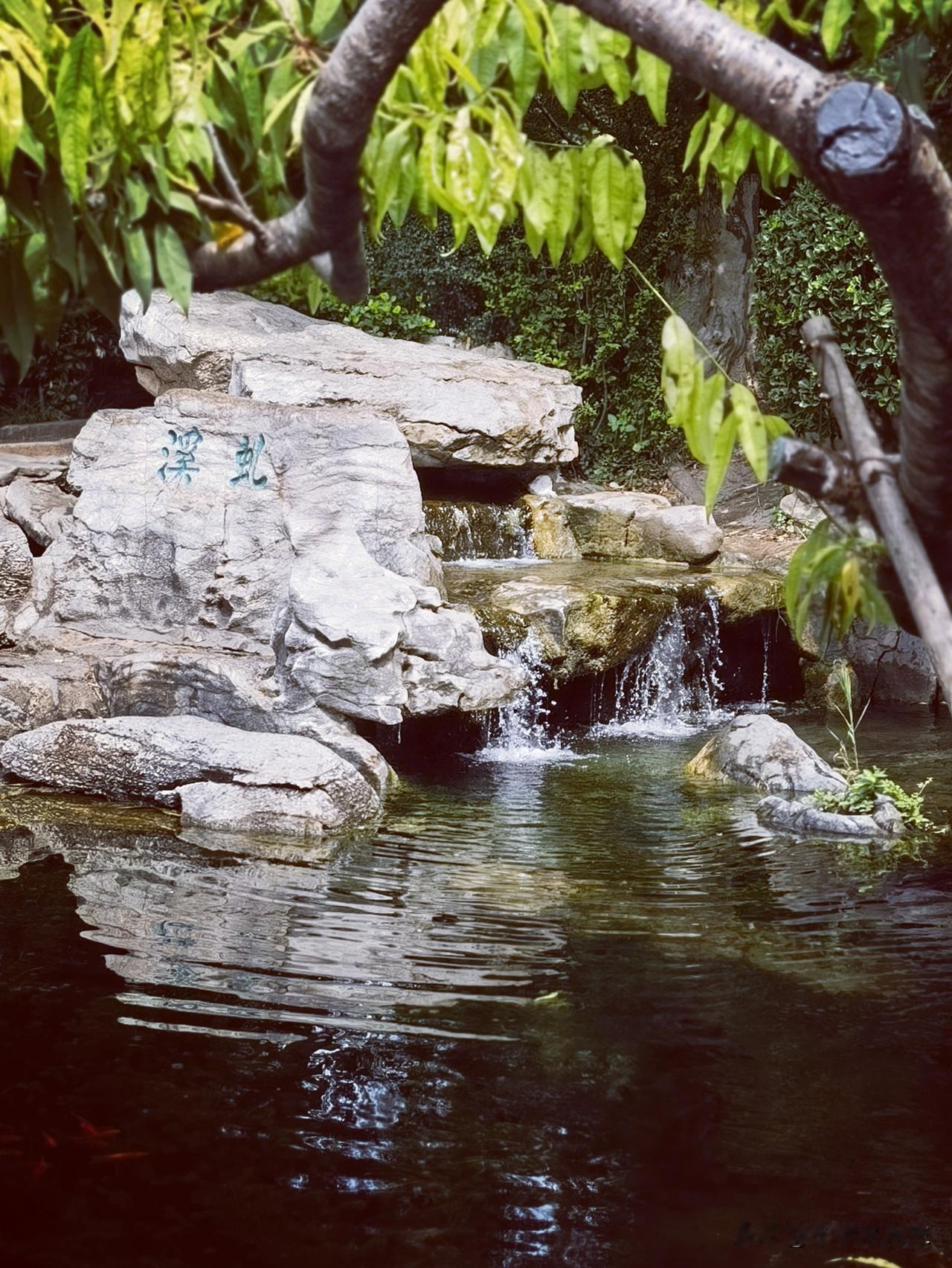 五龙潭公园还真是亲子乐园，夏日炎炎，泉水嬉闹，不错。原本是收费的公园，现在免费，