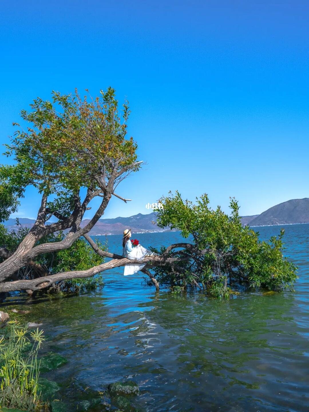 千万不要在冬天来大理，你真的会后悔！！