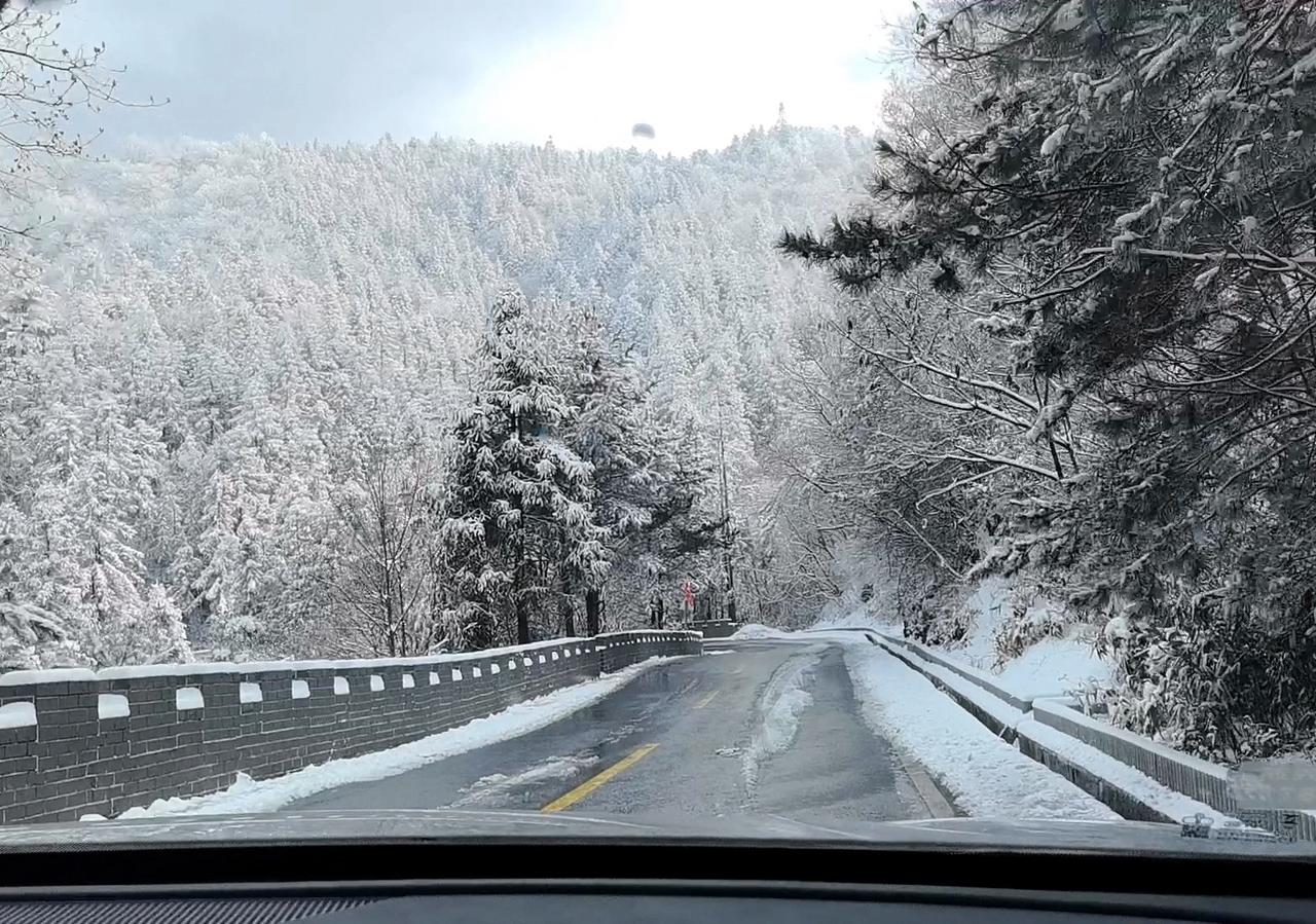自驾旅行记录2026年第1次出门去的牛草山，刚下完雪，山上的雪景很美。晒一张手机