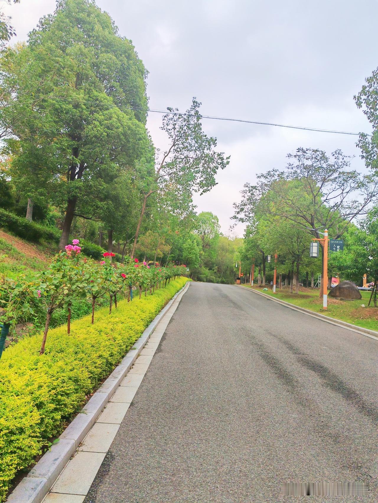 初秋养生，记住这10点：
1. 适时添衣：初秋温差大，别急于厚穿，降温及时保暖。