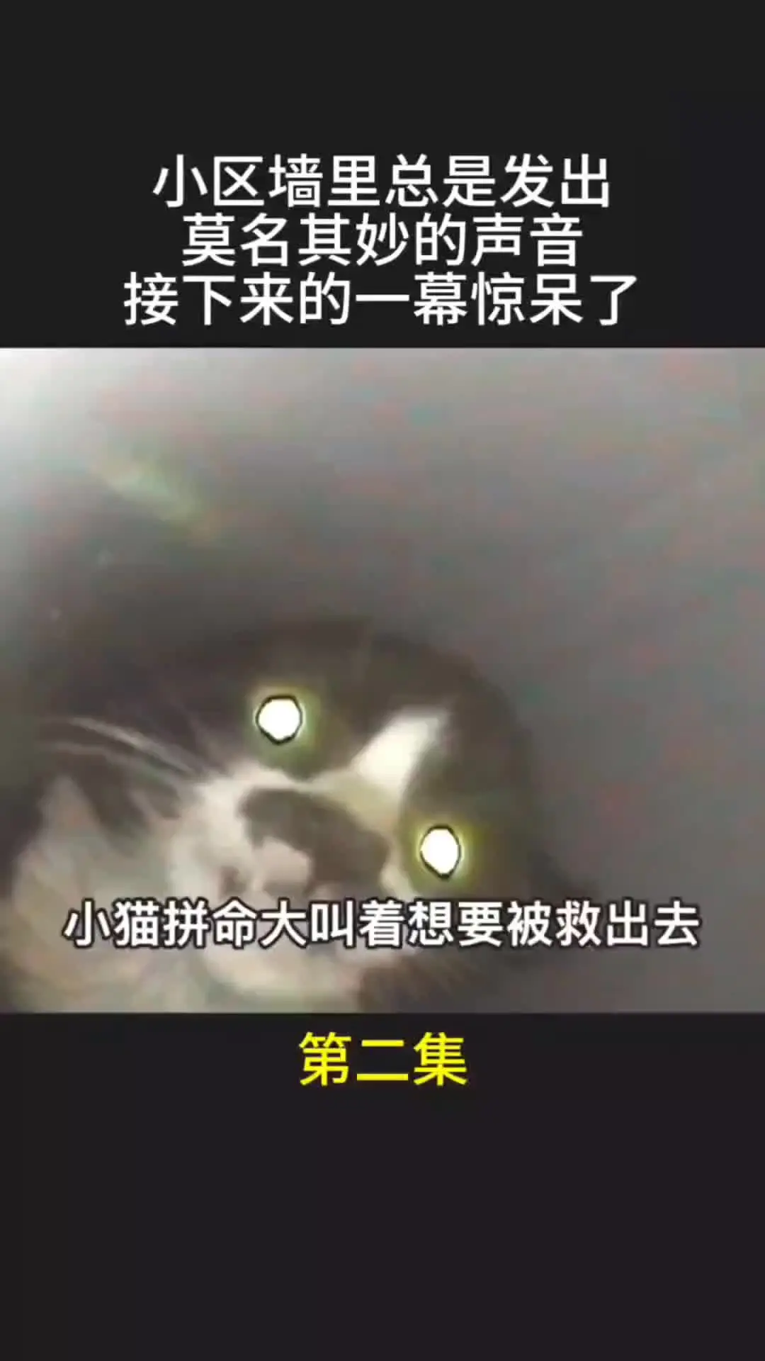我的观影报告 内容启发搜索 动物世界