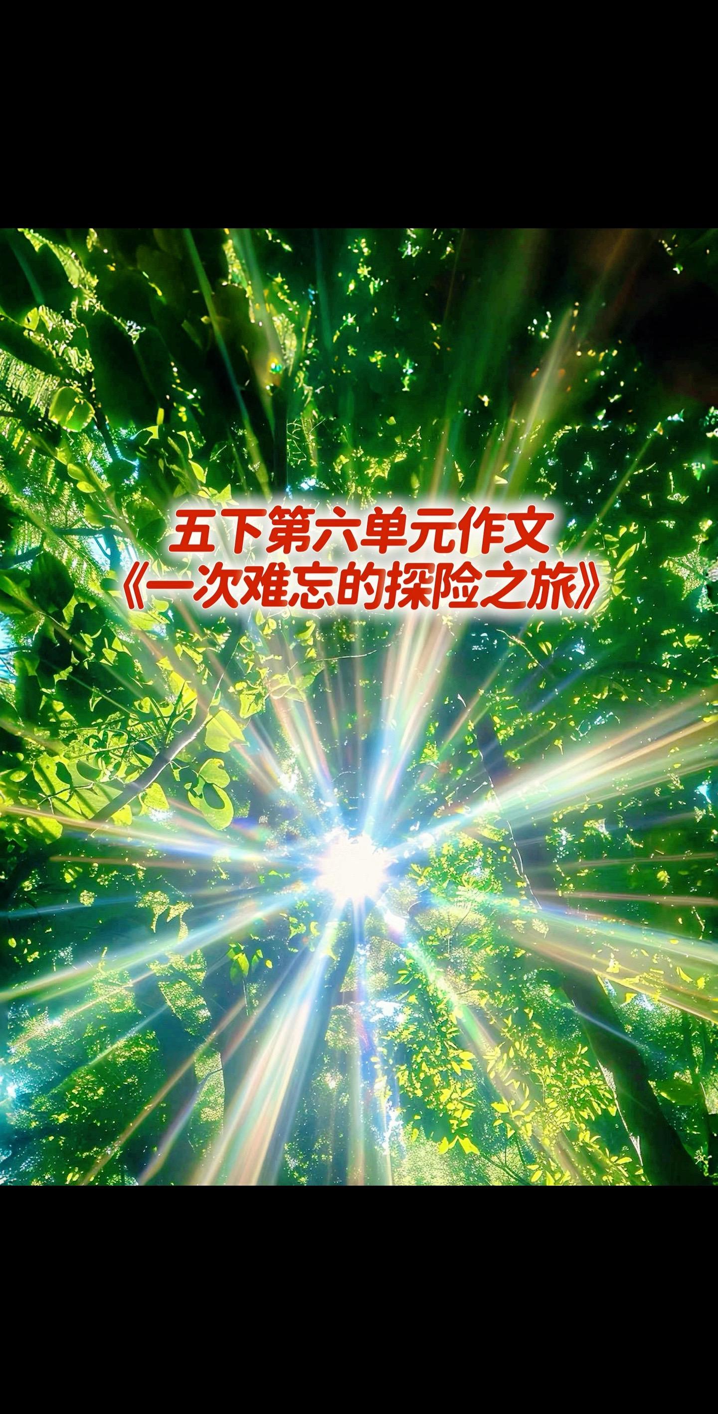 宝妈们，小学五年级下册第六单元作文《一次难忘的冒险之旅》。