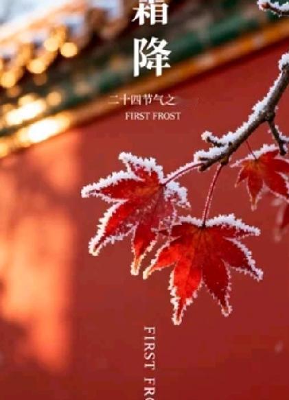 应对台风和换季天气时，以下建议可以帮助你更好地应对突发情况：

 应对台风的建议