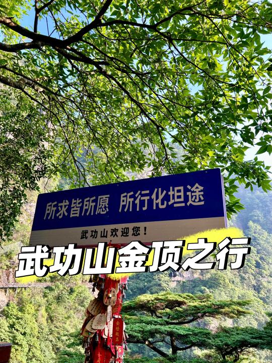 🌄武功山金顶4小时速登攻略｜云端草甸美到窒