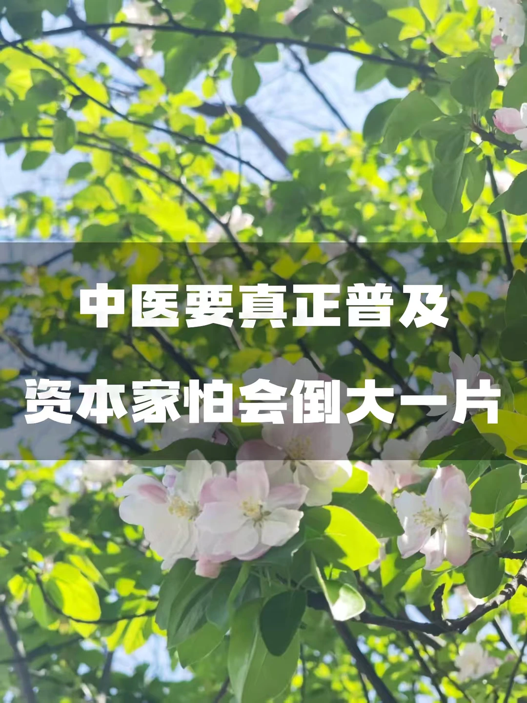 中医如果真正普及，恐怕会倒一大片的资本家