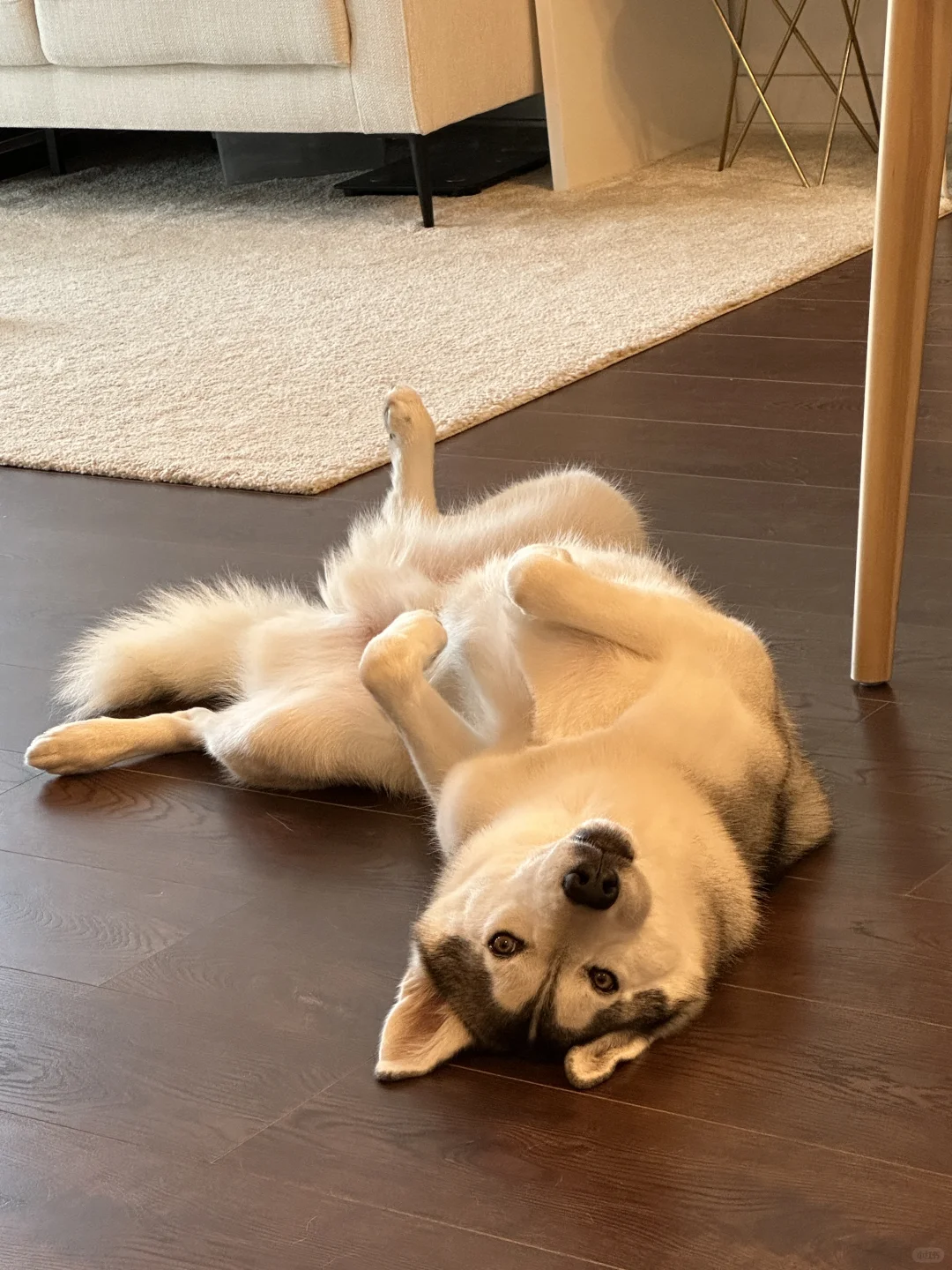 略略略略略略