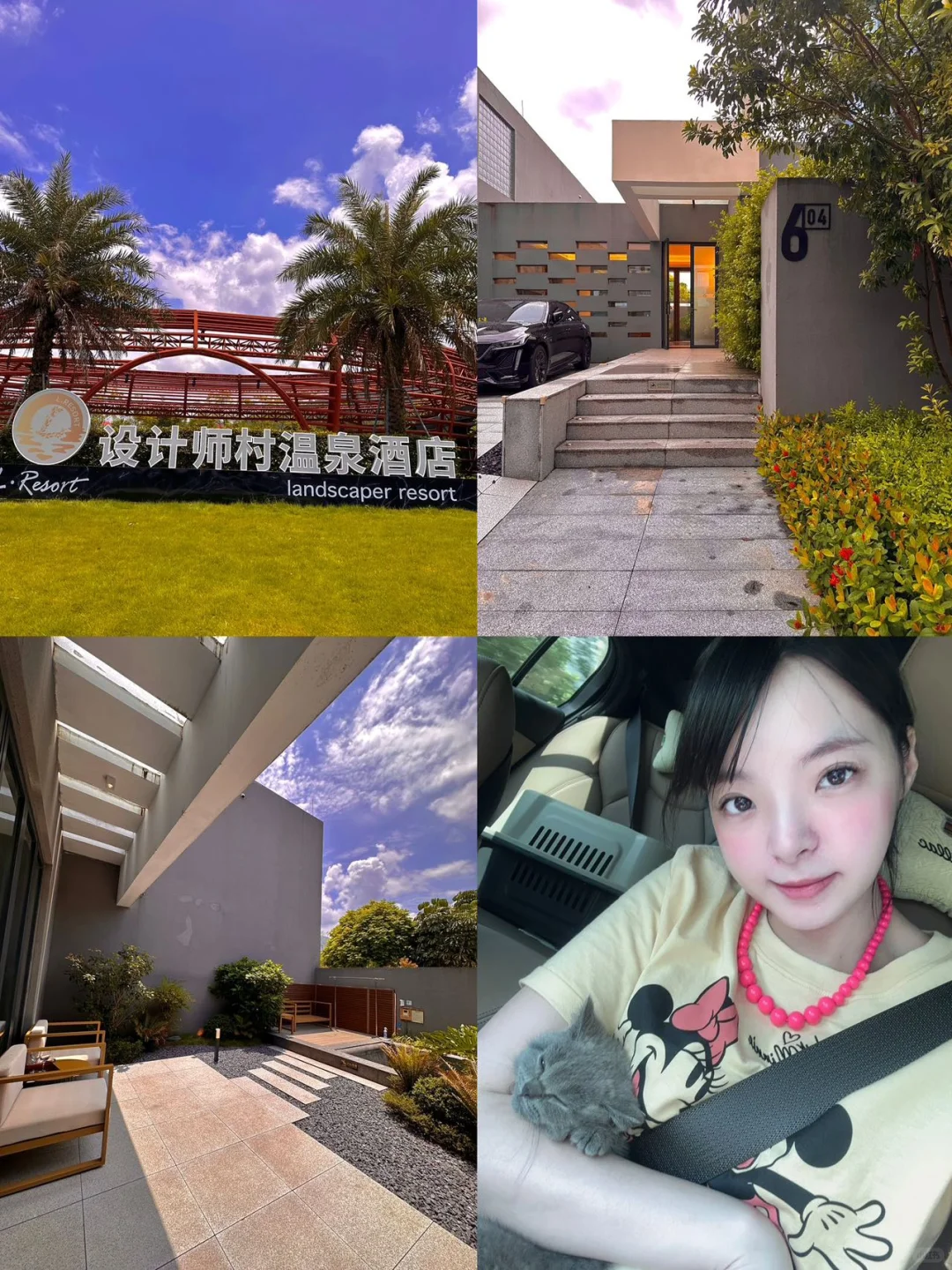 🐾🐱🐶🉑️带阿猫阿狗入住的从化温泉独栋