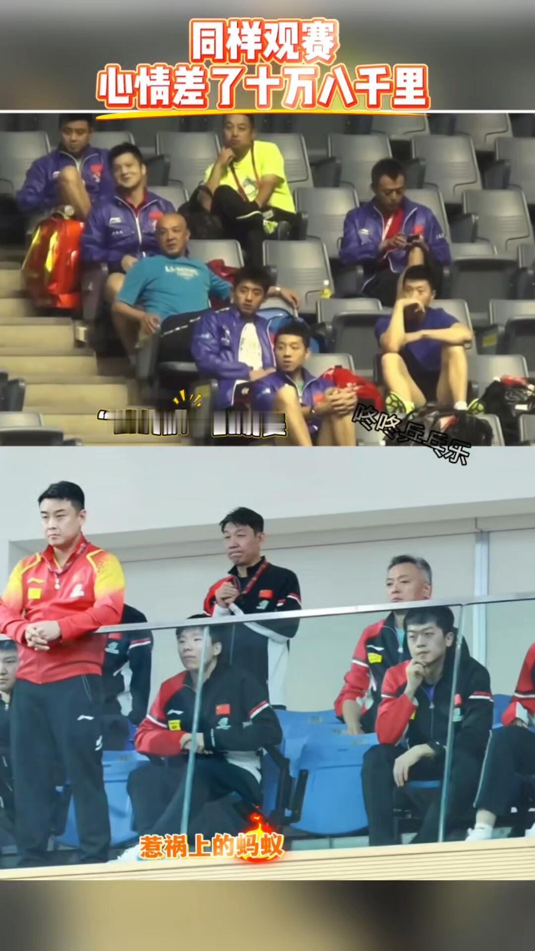 国乒队员同样观赛，心情差了十万八千里，真的是超级不一样的心境，三剑客自带小胖，谁