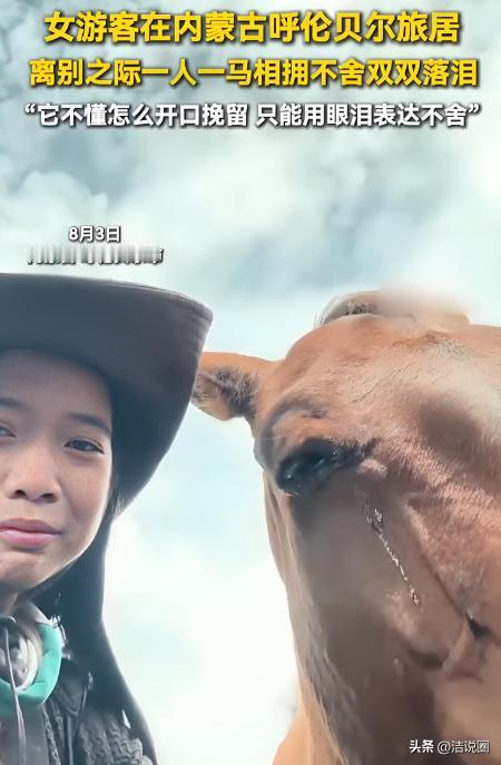 "科学也解释不清了！"内蒙古，女游客与一匹马产生了感情，离别之际，女子哭了，没想