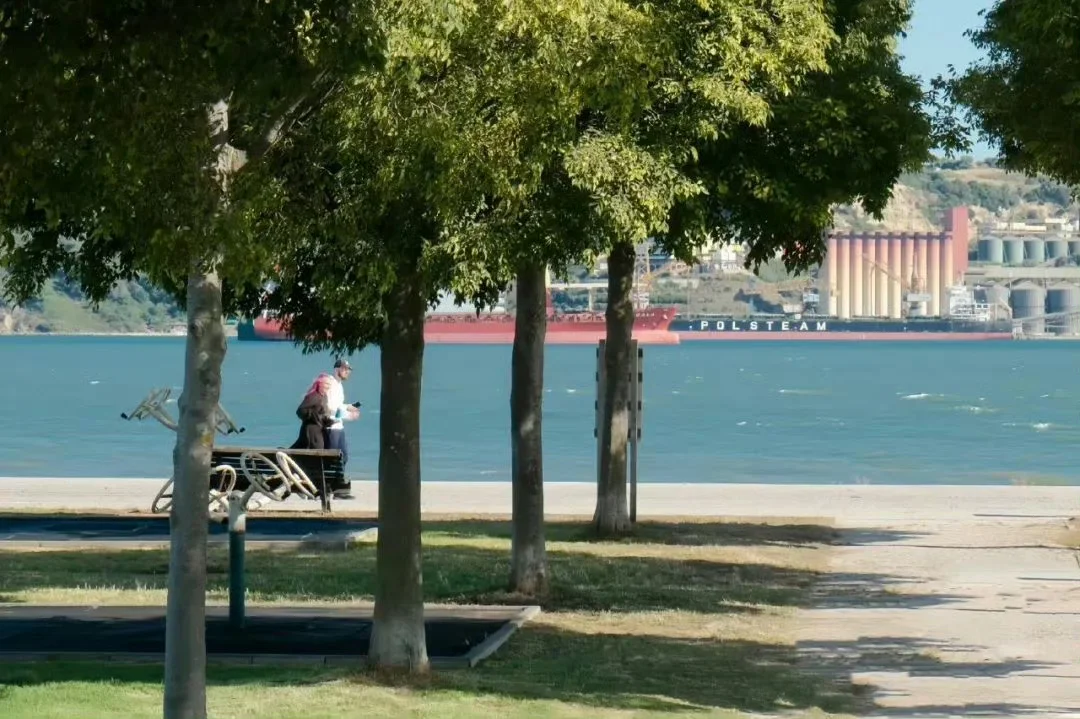 老板问你个体户、小规模、一般纳税人的区别