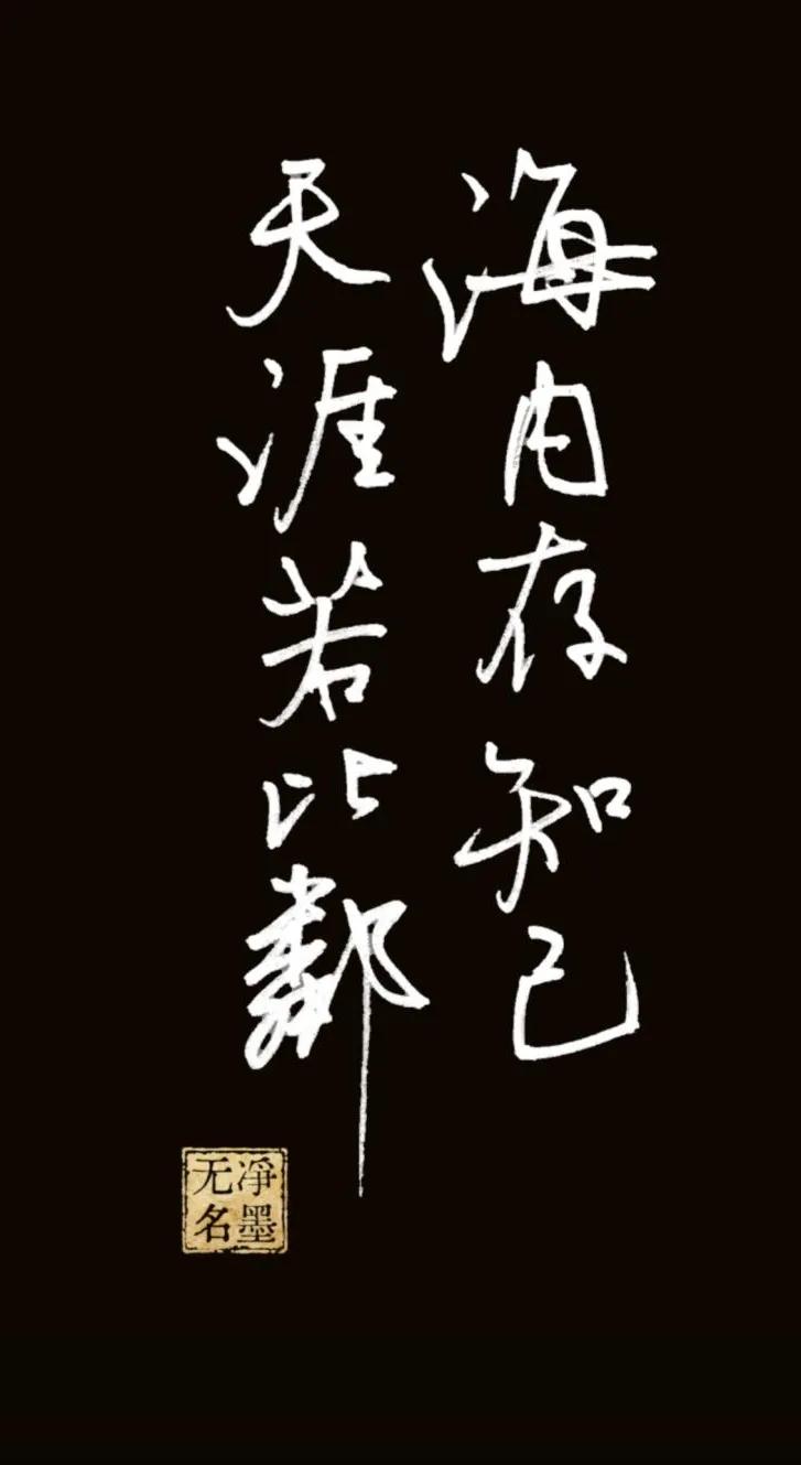 海内存知己，天涯若比邻
出自王勃《送杜少府之任蜀州》，意为四海之内有知心好友，哪