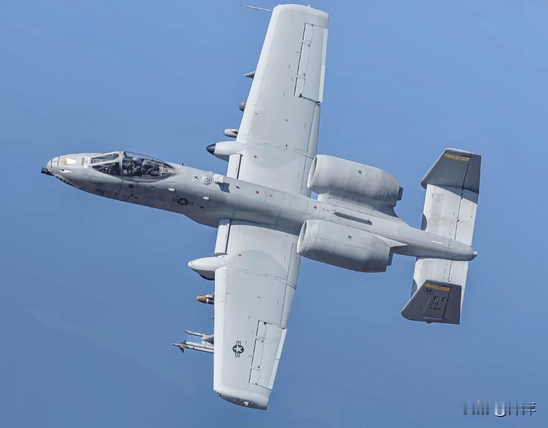 “疣猪”A-10：专为舔地而生的空中坦克
 
这是美国空军A-10“雷电II”攻