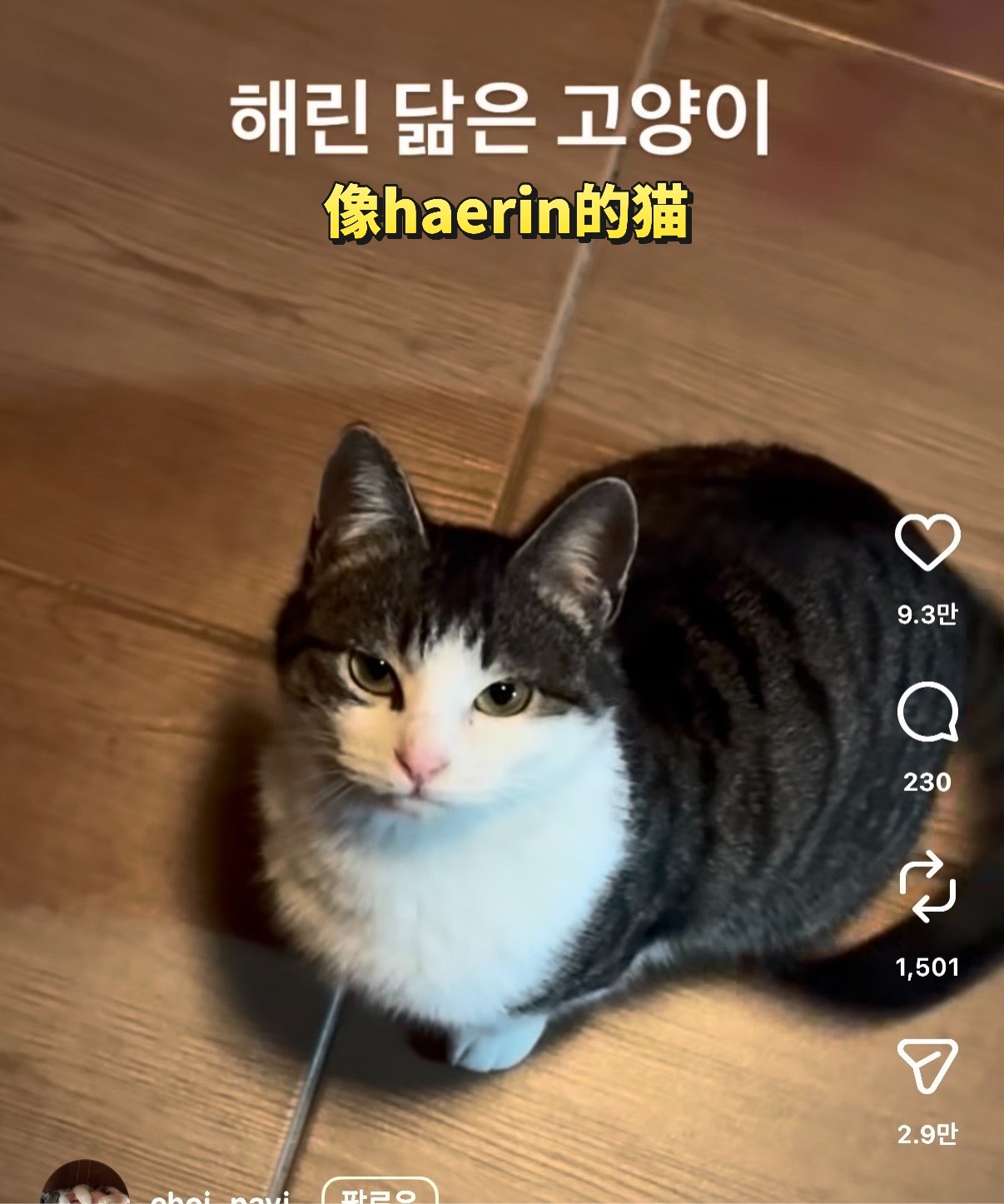 Haerin 260809  万赞转发：-但是真的太像了-没有像到这个程度的。我