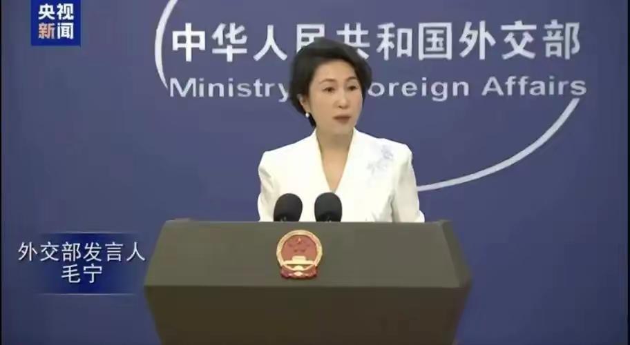 1月12日，针对媒体提问：德国外长瓦德富尔此前表示，愿与美国总统特朗普及其他国家