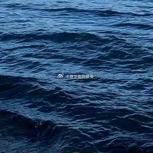 沈满是被冻醒的。准确地说，是左脚大拇指先醒了——那根指头已经麻木了，像一块不属于