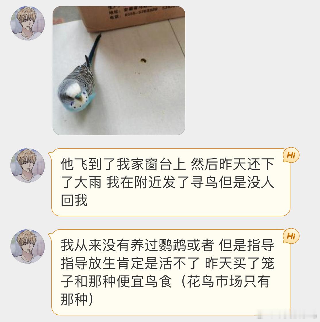 出门远航的虎皮鹦鹉🦜养鹦鹉的热心小天才指导下该如何照顾它！ ​​​